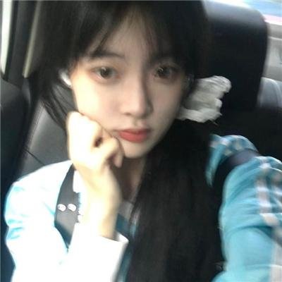 功夫兔与菜包狗第二季