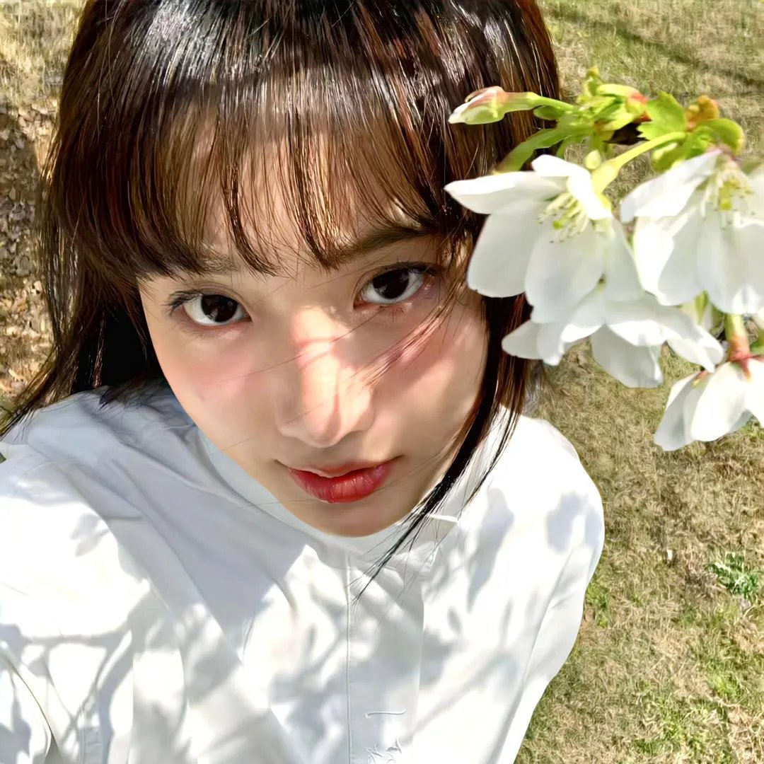 喜剧 站前大学